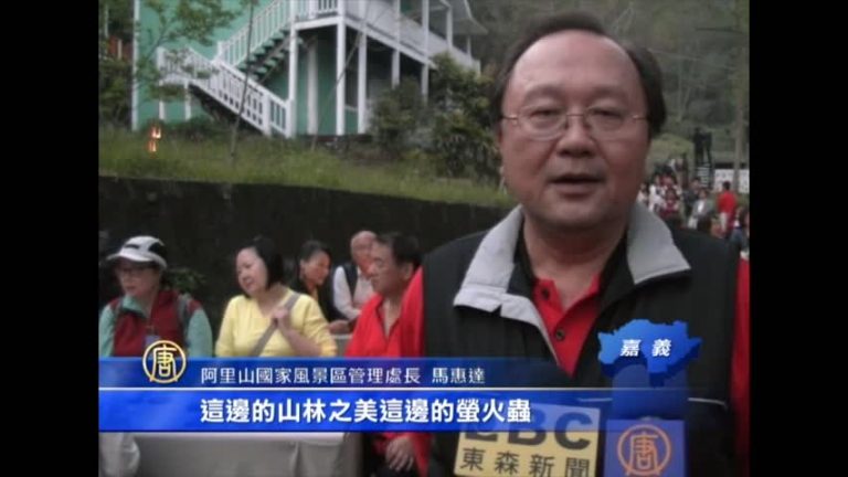 賞螢季開鑼 夜精靈照亮阿里山美景