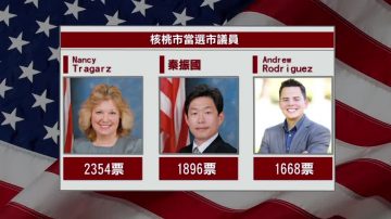 南加地方選舉 三華裔候選人一勝兩敗