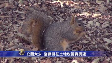 公園太少 洛縣擬征土地稅籌資興建