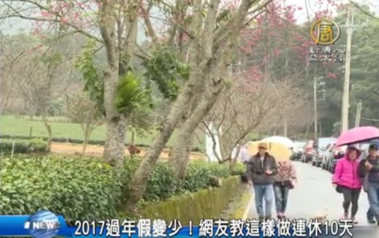 2017過年假變少！網友教這樣做連休10天