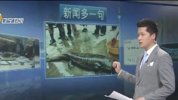 桂林「天價魚」宰客 提前摔死要價五千