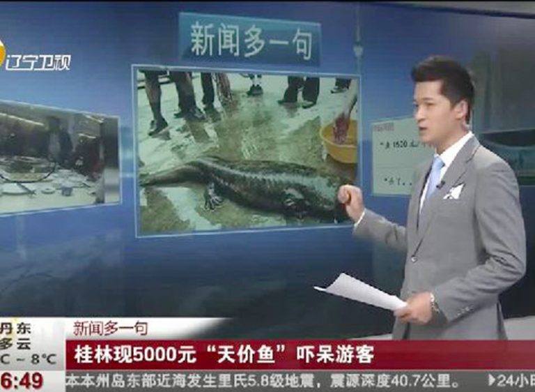桂林「天價魚」宰客 提前摔死要價五千