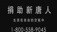 【广告】支持新唐人  和你我相关