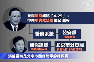 河北「政法王」 涉執行構陷425事件