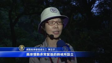 夜訪後慈湖 賞螢也閃浪漫！