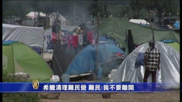 希腊清理难民营 难民:我不要离开