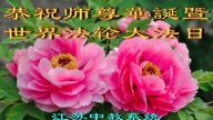 各行业大法弟子恭贺世界法轮大法日暨李洪志大师华诞(29条)