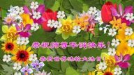 云南法轮功学员恭贺世界法轮大法日暨李洪志大师华诞(20条)