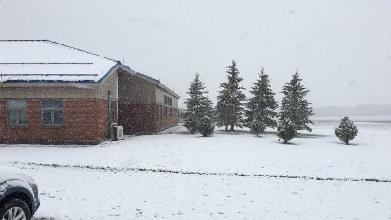 美東北部迎來創紀錄的五月大雪