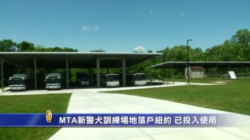 MTA新警犬訓練場地落戶紐約 已投入使用