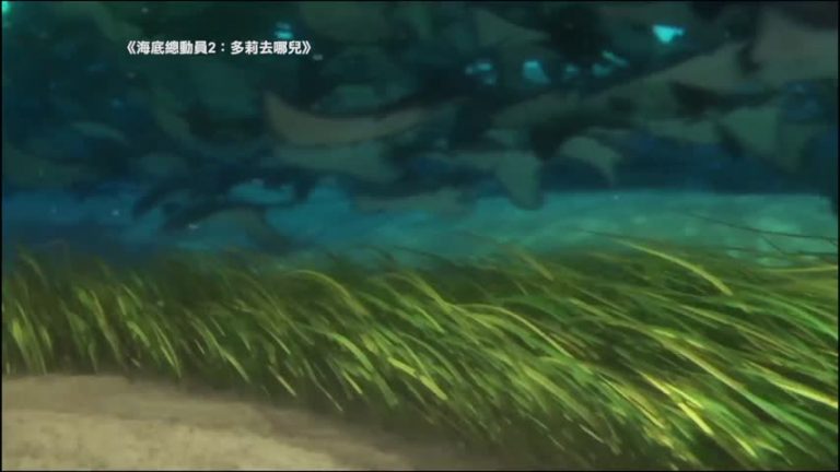 新片：《海底總動員2》萌 《烏龍特工》逗