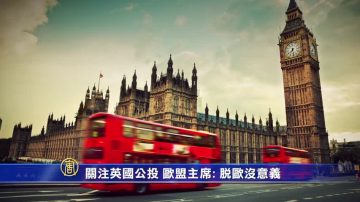 关注英国公投 欧盟主席: 脱欧没意义