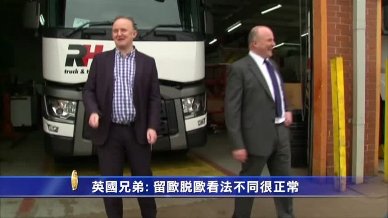 英國兄弟:留歐脫歐看法不同很正常