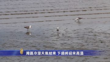 湾区冷湿天气结束 下周将迎来高温