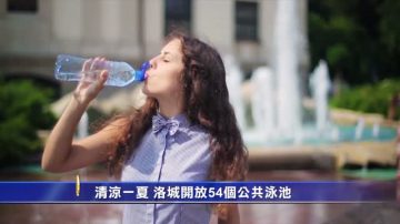 清涼一夏 洛城開放54個公共泳池