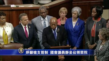 呼籲槍支管制  國會議員靜坐佔領眾院