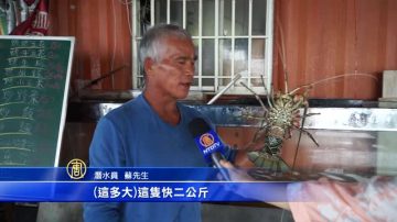 花东海岸鱼获多 品尝原民好手艺