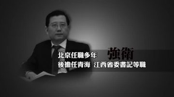 江西省委書記強衛被解職