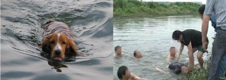 浙江男酒後測試狗能否游泳 自己落水身亡