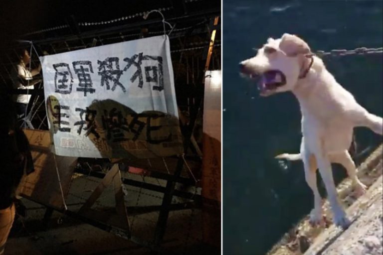 臺國軍虐狗案 蔡英文罕見駐足 民眾壽山抗議