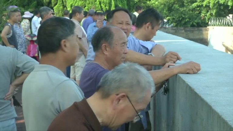 上海飛機撞上大橋  已5人死亡