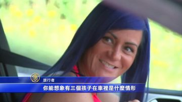 法加强安检 英大批旅行者滞留多佛