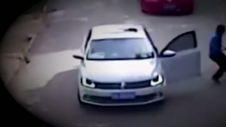 慘! 猛獸區私自下車遭虎襲 1死1傷