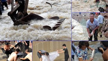 浙江民众暴雨后涌河哄抢免费鱼 挖土机蚊帐鱼网尽出