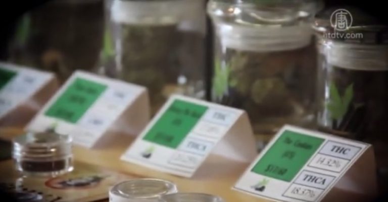 反新開大麻店 社區人士籲華裔積極參與