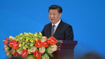 废常委制征兆？海军少将披露习近平南海决策内情