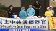 和平反迫害 休斯顿法轮功学员演示中共活摘器官