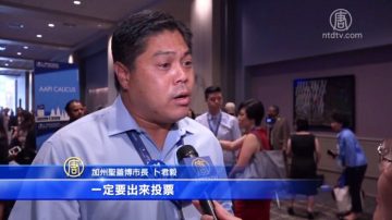 参与民主程序 亚太裔民主党大会积极发声