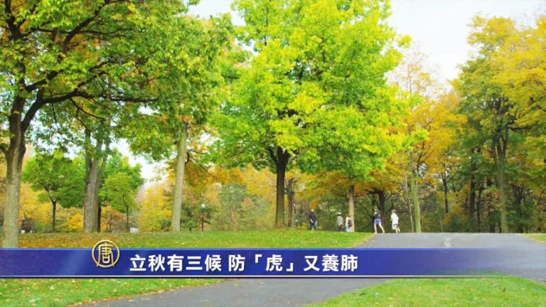 立秋有三候  防「虎」又養肺