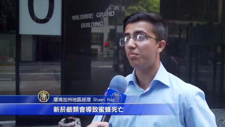 蜜蜂減少四成 兩萬人籲禁用特定殺蟲劑
