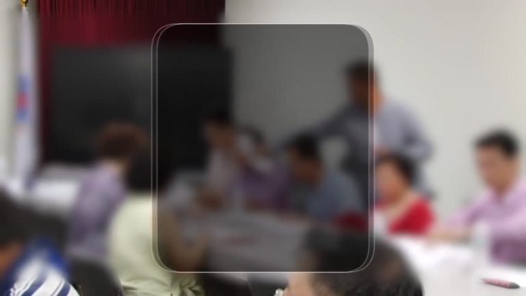 慶雙十國慶 休斯頓僑社備20多項活動