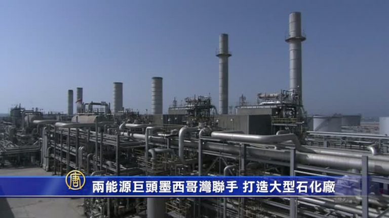 兩能源巨頭墨西哥灣聯手   打造大型石化廠