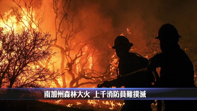 8月19日一週要聞回顧