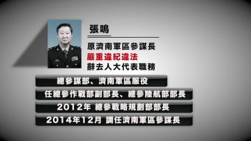 原济南军区参谋长张鸣落马