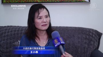 獨家：挖到古董求助鑑定？謹防詐騙