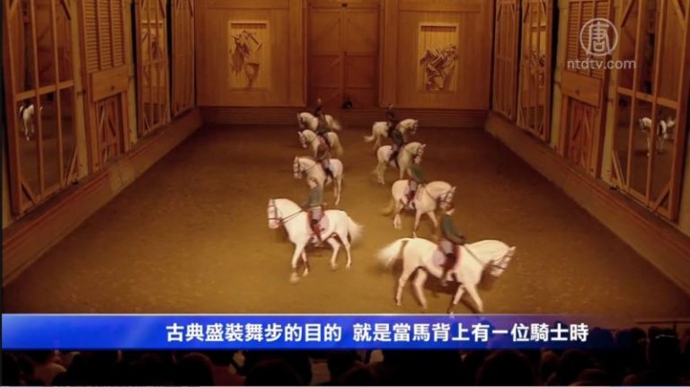凡尔赛皇家馬廄馬術表演