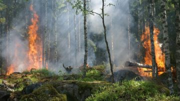 大溫迎來「秋老虎」 野營禁火