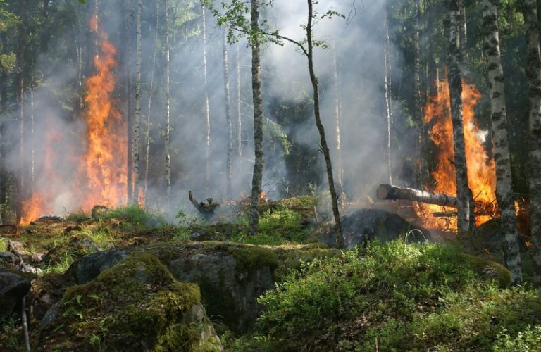 大溫迎來「秋老虎」 野營禁火