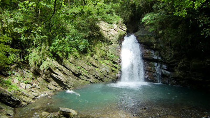 台灣復興山坡崩塌 桃園霞雲溪成堰塞湖