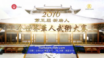 快讯：2016新唐人“全世界华人武术大赛”金奖揭晓