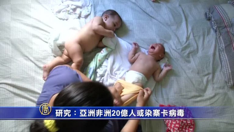研究：亞洲非洲20億人或染寨卡病毒