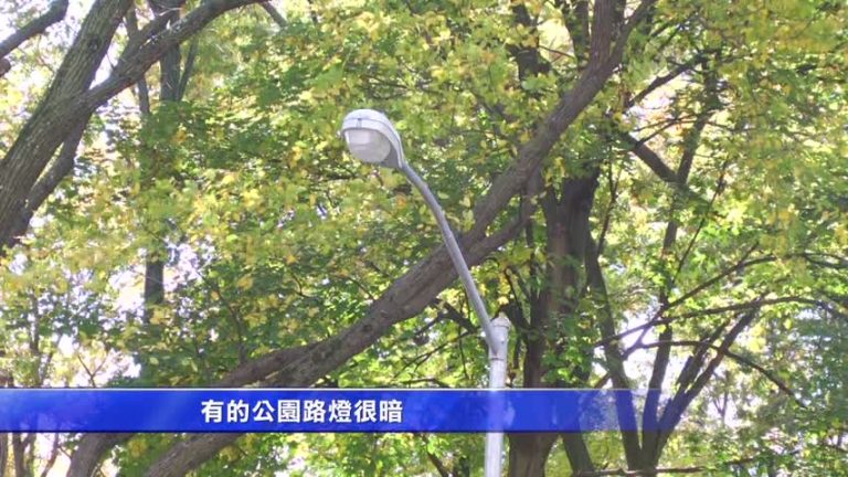 初選在即 蔡海泓為義大利地震災民募款