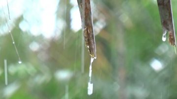 反圣婴捉迷藏 南加或有更多降雨