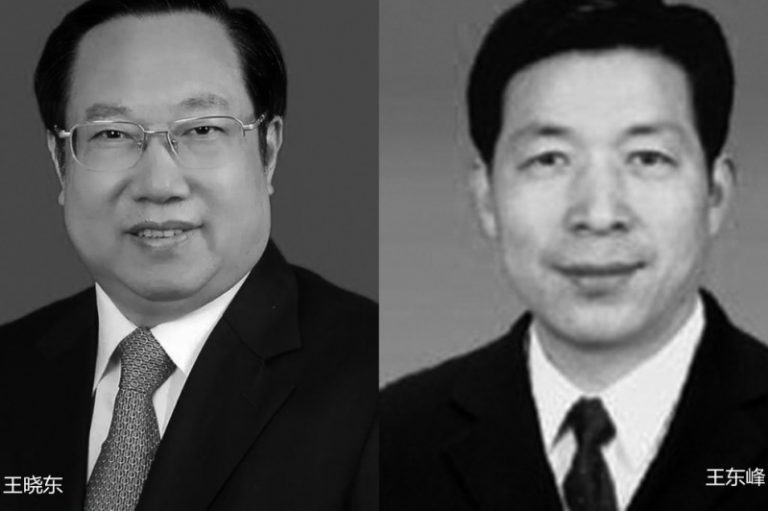 快訊：王東峰任天津代市長 王曉東任湖北代省長