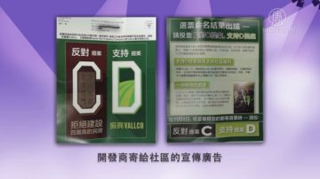 【灣區聚焦】庫市 C 和 D 兩公投 最後對決