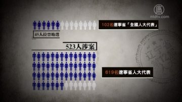 港媒：辽宁贿选案“官热民冷”的秘密